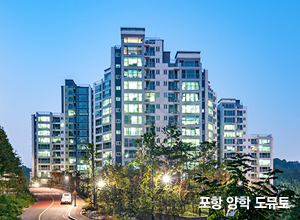 포항 양학 도뮤토