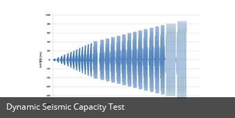 Dynamic Seismic Capacity Test